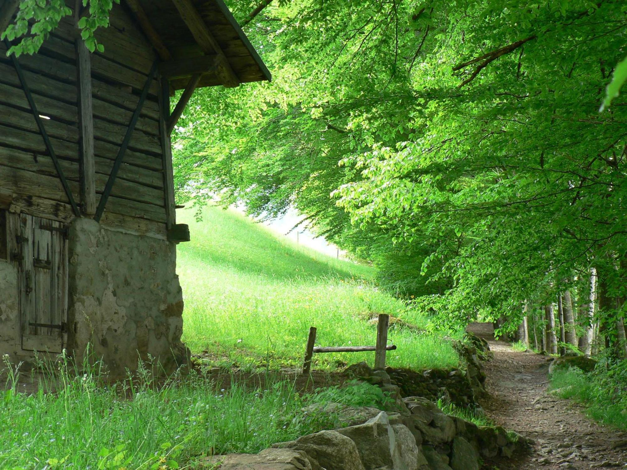 B3 Boutique-Bed&Breakfast Gsteigwiler Kültér fotó